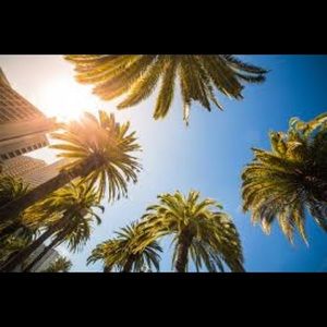 Meet your Posher, Karina